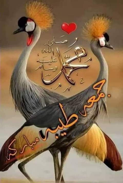 ليله الجمعه الثالثة
من رمضان
اللهم اجعلها جمعة فرج لكل مهموم
وشفاء لكل مريض ورحمه لكل ميت
   وعتق من النار لكل مسلم 
ولا يحلو ليله الجمعه إلا
    ❤️ بالصلاة على النبي ❤️
اللهم صل على محمد وال محمد وعلى اله وصحبه اجمعين ❤️