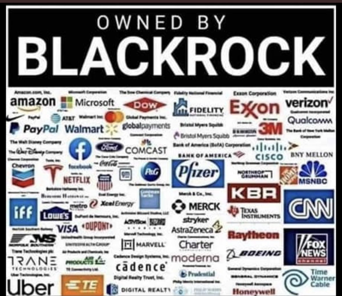 Sharron Davies HoL MBE tweet media