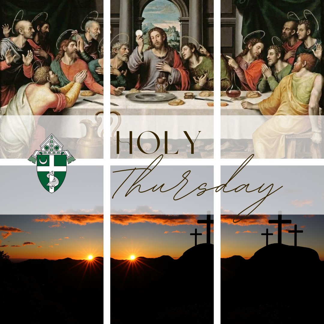 Diocese of Syracuse tweet media