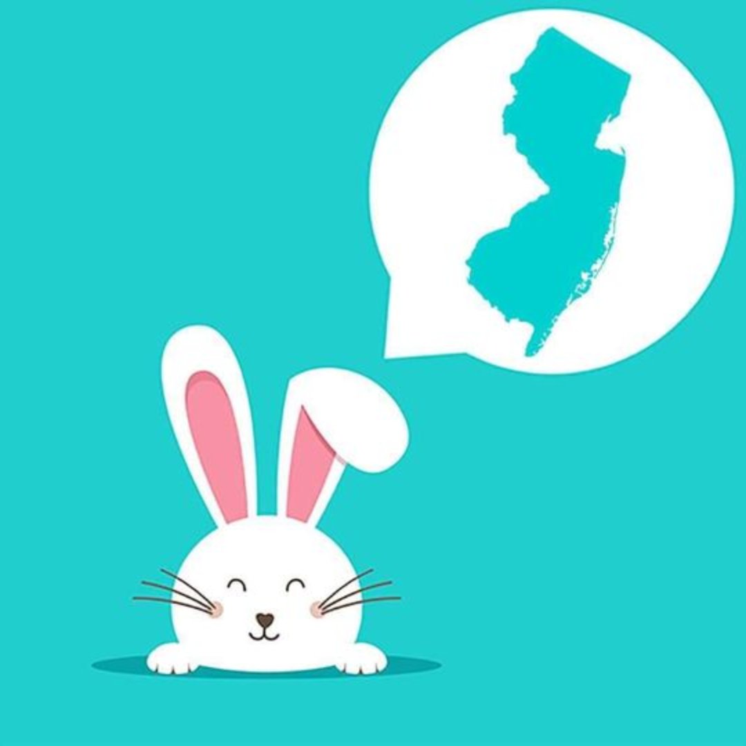 New Jersey tweet media