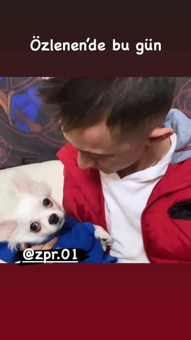 sevmutluol's tweet photo. Fotoğraf için teşekkür ederiz 😊
Fotoğraf sahibi İnstagram : emregull

#satinalmasahiplen #hayvanlarisevmutluol #hayvanlar #animals #köpekler #dogs #emregül https://t.co/KCBmoZ36k3