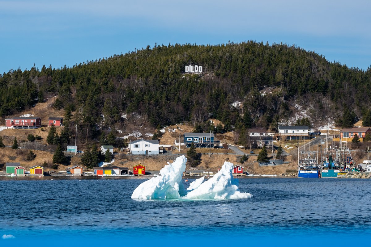 CapelinCreation's tweet photo. Just when you thought this view couldn't get any better...

@CBCNews 
@a_brauweiler 
@CBCNL 
#nlwx #fujifilm_xseries #explorenl #exploreCanada #dildoNL https://t.co/x5bGwWN2ZK
