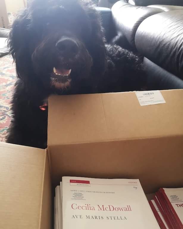 KeeleBachChoir's tweet photo. The associate librarians, Florence, Dougal and Milo, have also been helping although their lack of apposable thumbs and tendency to take naps have been a bit of a hindrance 🎶🐾 (2/2) https://t.co/Znr3D2v9bP