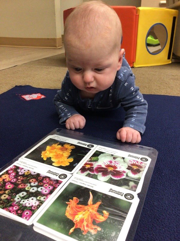 Such a good first week back from maternity leave! Got to work on all kinds of blending with my students, and got bonus pictures of my little Colby learning about plants at his school #RISDLitandInt #risdbelieves #Risd_soars