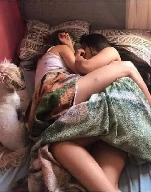 falaisapataoofc's tweet image. "não goste de grude"
eu dormindo com ela: