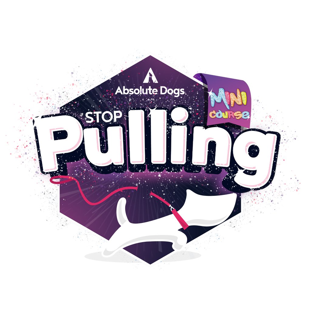 puptalk101 tweet media