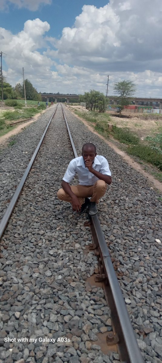 AliElphas tweet picture