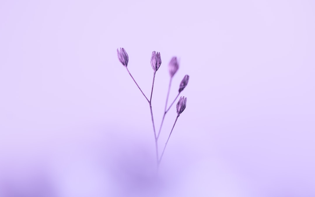 w0wWords's tweet photo. A man is not old as long as he is seeking something. - Edmond Rostand #OpeningDay #Rockies #Deelance #TennesseeThree #InternationalAsexualityDay https://t.co/snz3BfMyyk