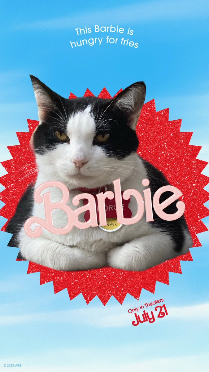 georgecampuscat's tweet photo. i’m,, a barbie.., https://t.co/OWO0TtCM4v