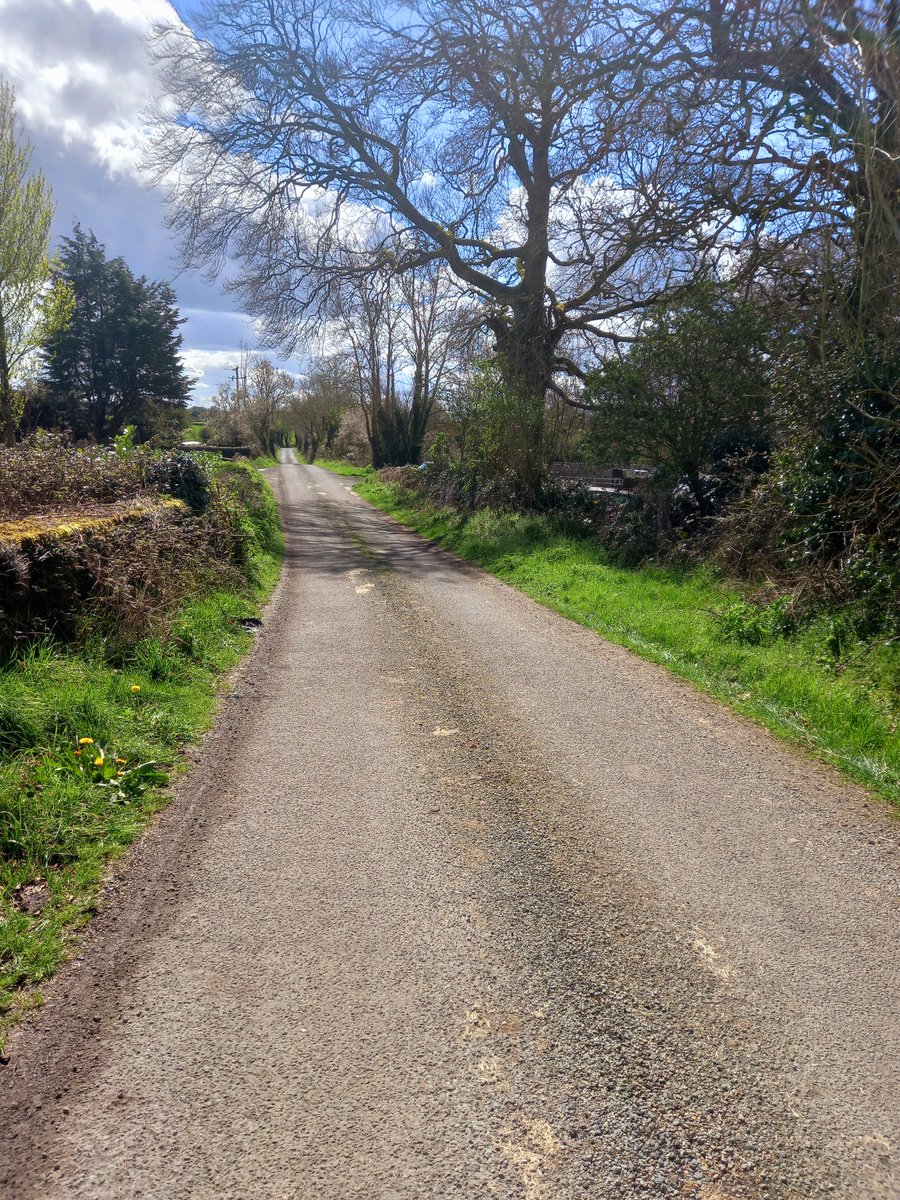 'Country roads take me home' ... Fab day by the Shannon 🌊 🐾 ♥ #100daysofwalking <a href="/NewstalkFM/">NewstalkFM</a> <a href="/NTBreakfast/">Newstalk Breakfast</a> #Athlone #Roscommon #Hudsonbayhotel
