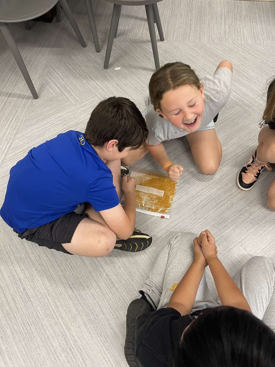 Rebecca Weems, EdD tweet media