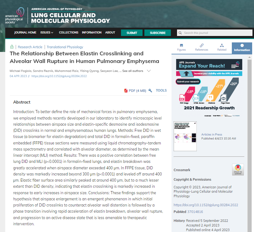 APSPublications's tweet image. The Relationship Between #Elastin Crosslinking and #Alveolar Wall Rupture in Human Pulmonary Emphysema (Fagiola et al.) - new in @AJPLung 

ow.ly/sSFl50NCp31

 @StJohnsU @YaleMedicine #PulmonaryEmphysema #MassSpectrometry