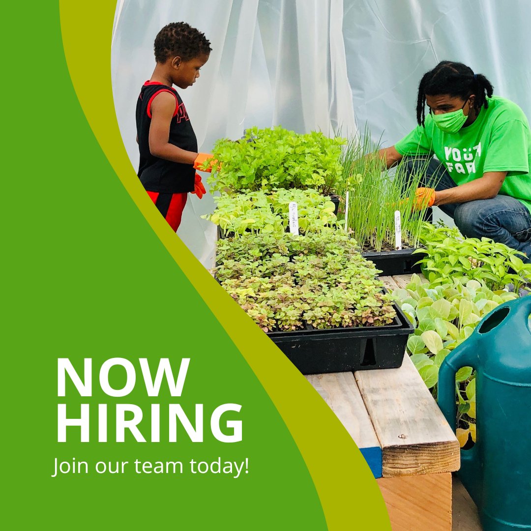 Now hiring - North Minneapolis Program Manager 
Interested in joining our team? Visit linktr.ee/youthfarmmn to learn more!