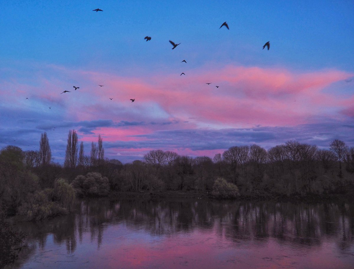 Tonight’s #sunset at Twickenham was so pretty.  

@metoffice #loveUKweather @CloudAppSoc #clouds #MaundayThursday #EasterWeekend