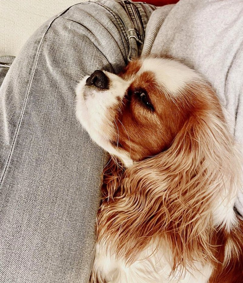 PhdPooh's tweet photo. 🐶 https://t.co/XLXfAH59Oz