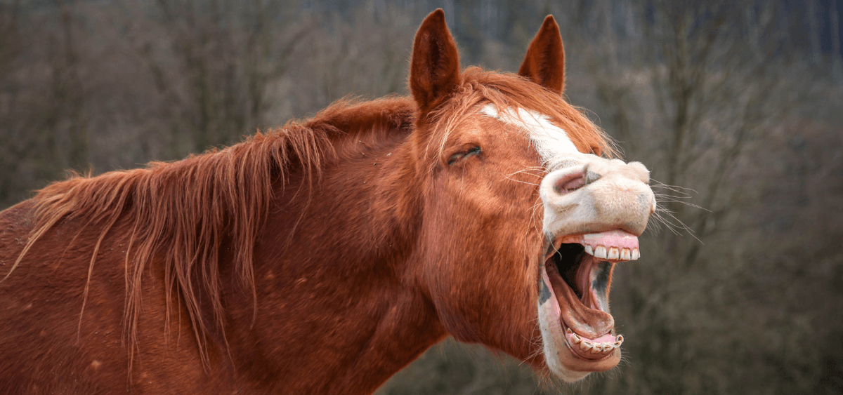 RandallWMG's tweet image. It&apos;s Laugh At Work Week 🤣

Here are some fun things we try to do at our office:

- Celebrate milestones and successes w/ snacks or team lunches 🍕
- Host social events such as parties or team-building retreats to bring people together 🎉

Any other good ideas?

#LaughAtWorkWeek