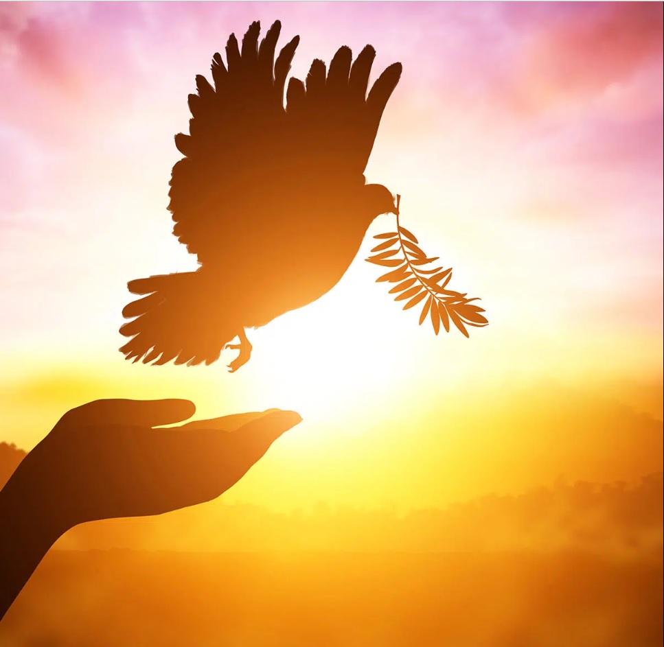 Sojourn House wishes you and your loved ones a peaceful and joyful Easter and Passover.

Chag Sameach and Happy Eater/Joyeuse Pâques!