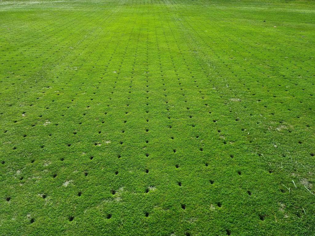 turftonics's tweet photo. Deep aeration at Sunningdale Heath last week ๐ณ๏ธ
#greenkeeping #greenkeeper #golf #golfcourse
#sportsturfmaintenance #groundsperson https://t.co/43o6XNhWbl