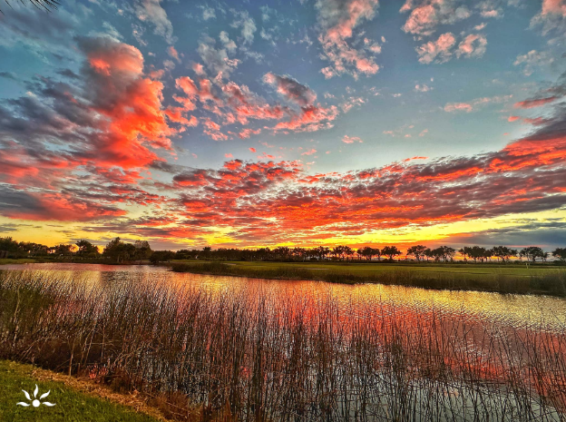 AveMariaFlorida's tweet photo. #AveMariaFL wishes you, your friends, and loved ones a peaceful and joyous Passover.
.
.
📸 Joe DiFlorio
#avemariaflorida #abigkindofsmalltown #avemarialifestyle #happypassover #hometomore https://t.co/a01wtbXlWC