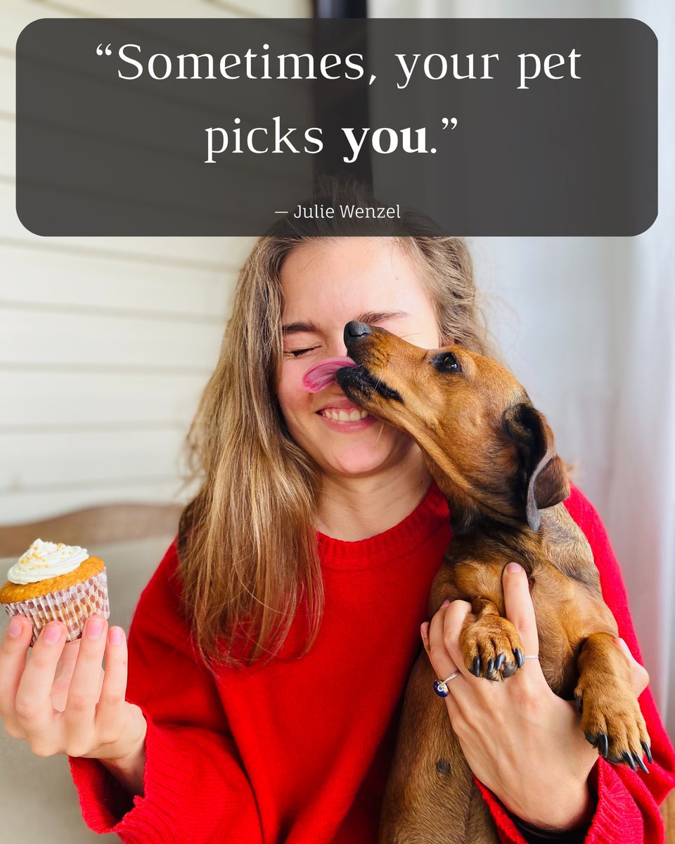 Dr. Karen Becker (@drkarenbecker) on Twitter photo 