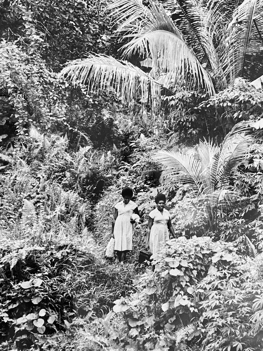 Happy 75th birthday #WHO!!

People’s inability to get access to #healthworkforce have an impact on health service delivery #timetoact2023 #ProtectInvestTogether

📸: #PHC nurses making their rounds along jungle paths in Vanuatu (WHO/Takeshi Takahara, 1970).