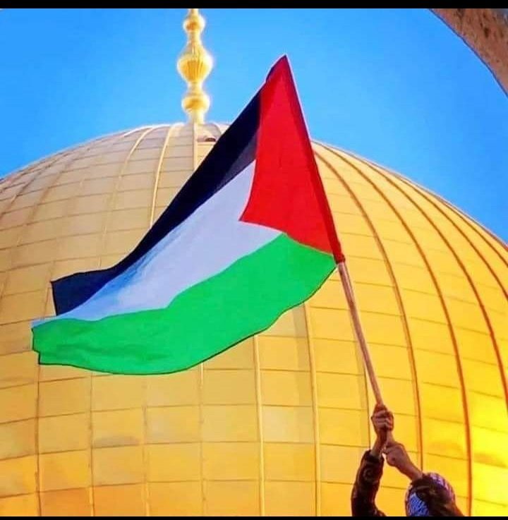 AbdulMuheetglt's tweet photo. میں فلسطین ہوں🇸🇩❤️
لبیک یا اقصیٰ☝️
Free Palestine🇸🇩
Israel Murdabad👊👊 https://t.co/WQ0dl1OzuI
