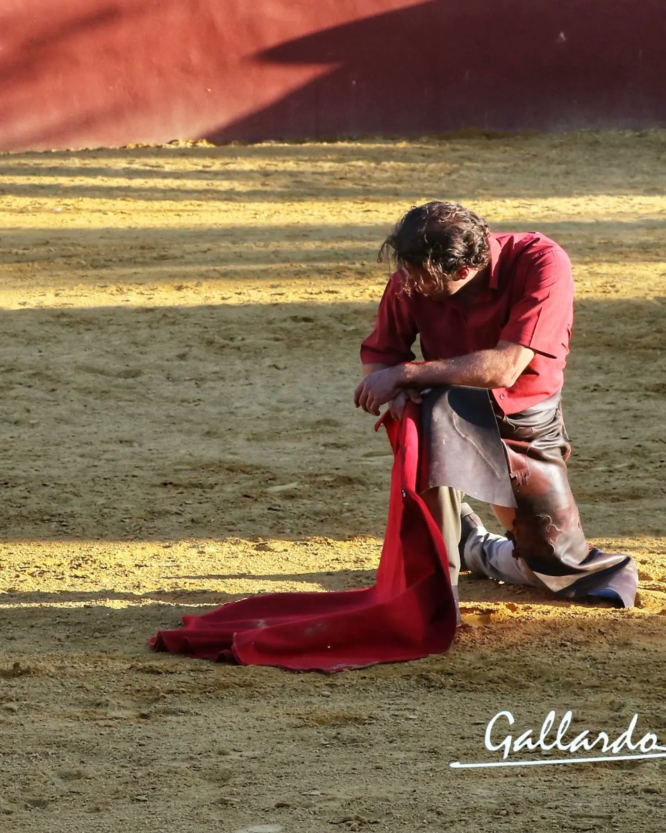 gallardotoros's tweet photo. Y una tarde más, nos desbordó con su pasión, con su creación, con su alma...
Tarde que recordaremos por siempre, gracias Maestro.
Ferrera &amp; Cayetano Muñoz https://t.co/995PBGKJye