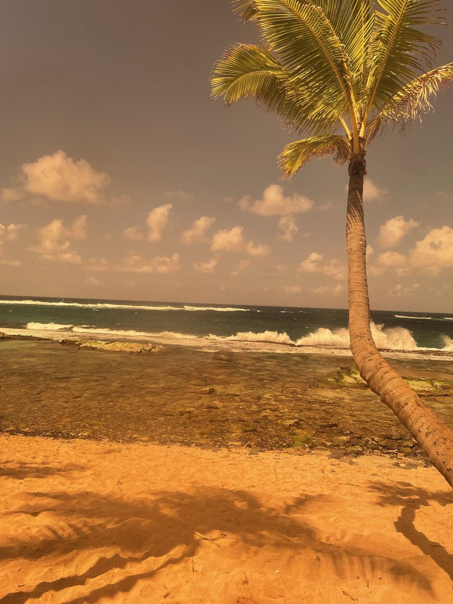 Loopcero tweet media