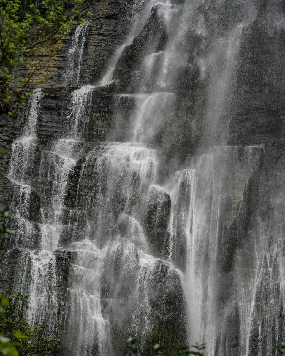 GTGHHawkesBay's tweet photo. 📷 by @revinjoseph: Shine Falls - Hawke's Bay
Pictures were taken a week before the Cylone.
#hawkesbay #hawkesbaynz
.
.
.
.
#waterfalls #waterfall #green #lushgreen #gottalovenz #destinationnz #newzealandguide #newzealandphotography #newzealandtravel #naturelovers https://t.co/pcB1njVoGM