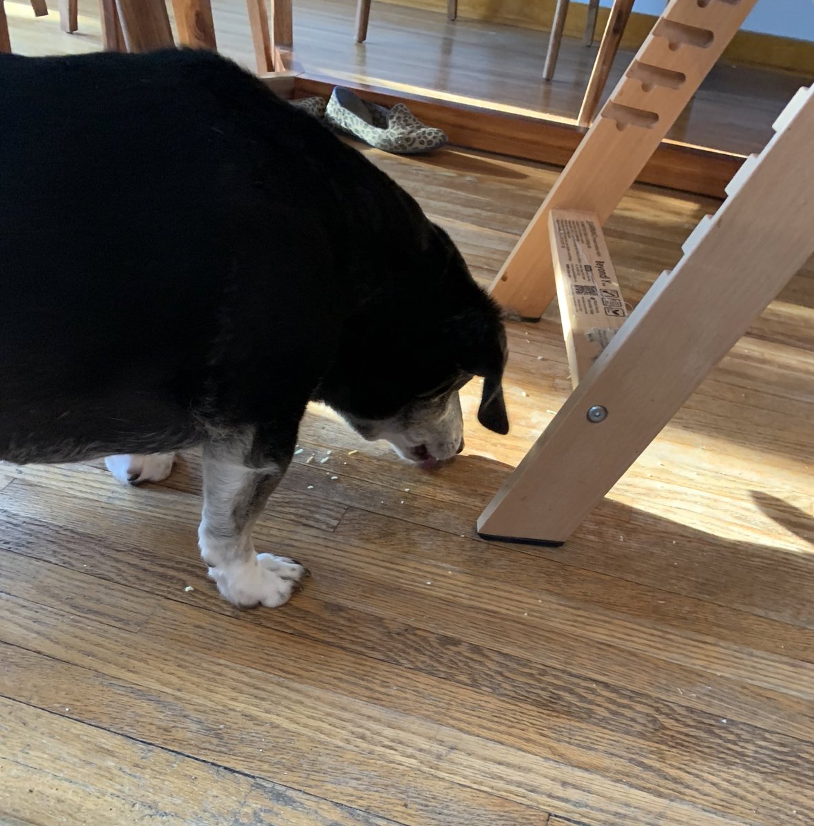 Rachel 🏃‍♀️ tweet media