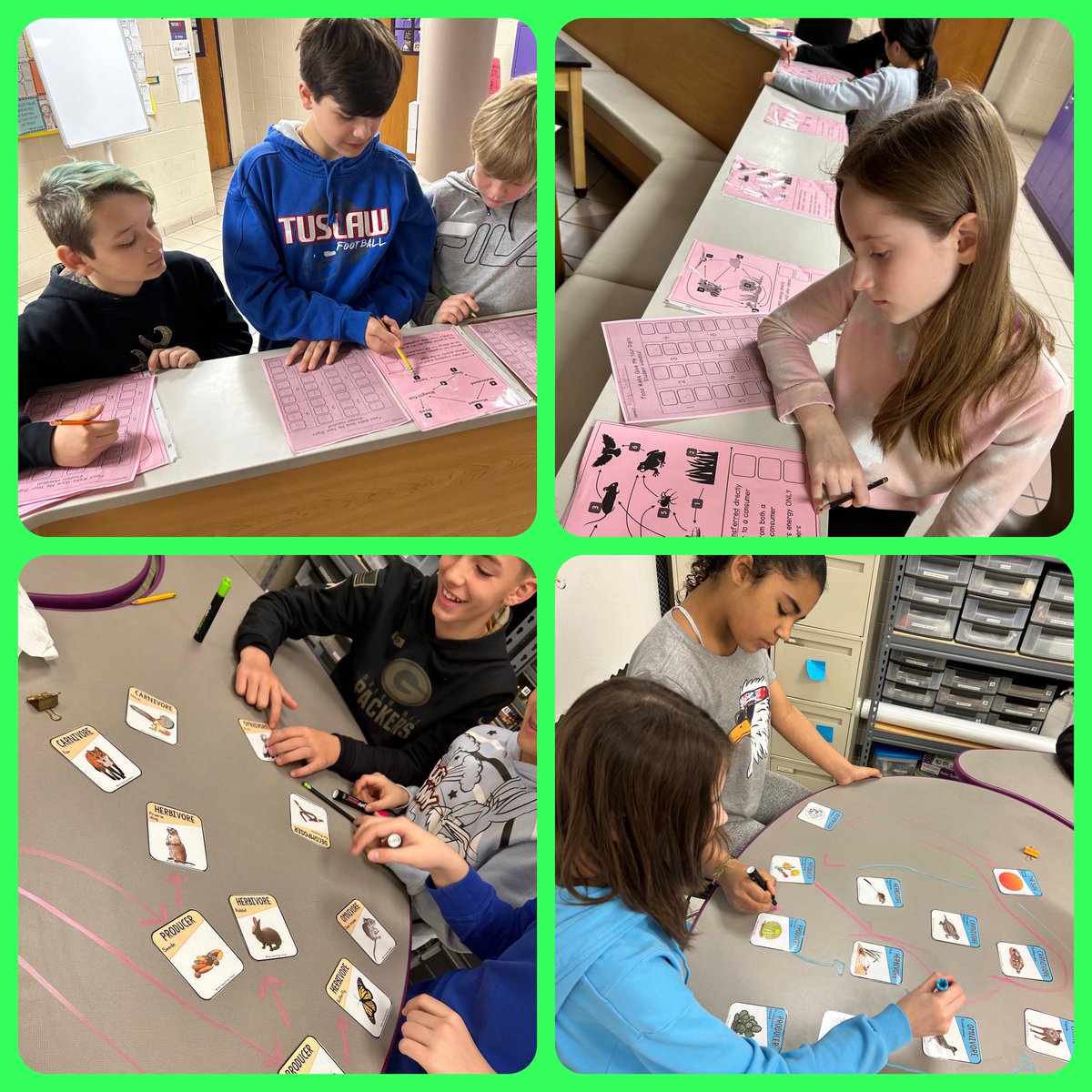 Food Chains and Food Webs review stations! #collaboration #interactive #teamraptor