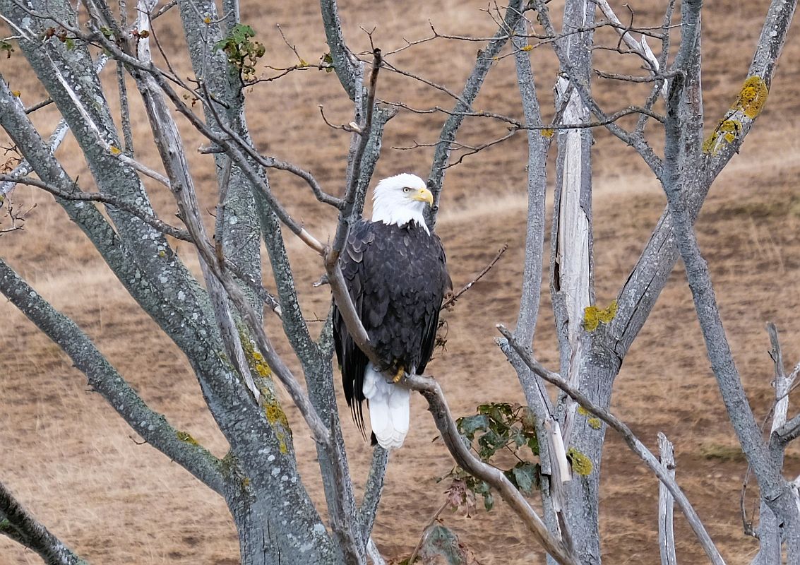 Jeffrey Ventre tweet media