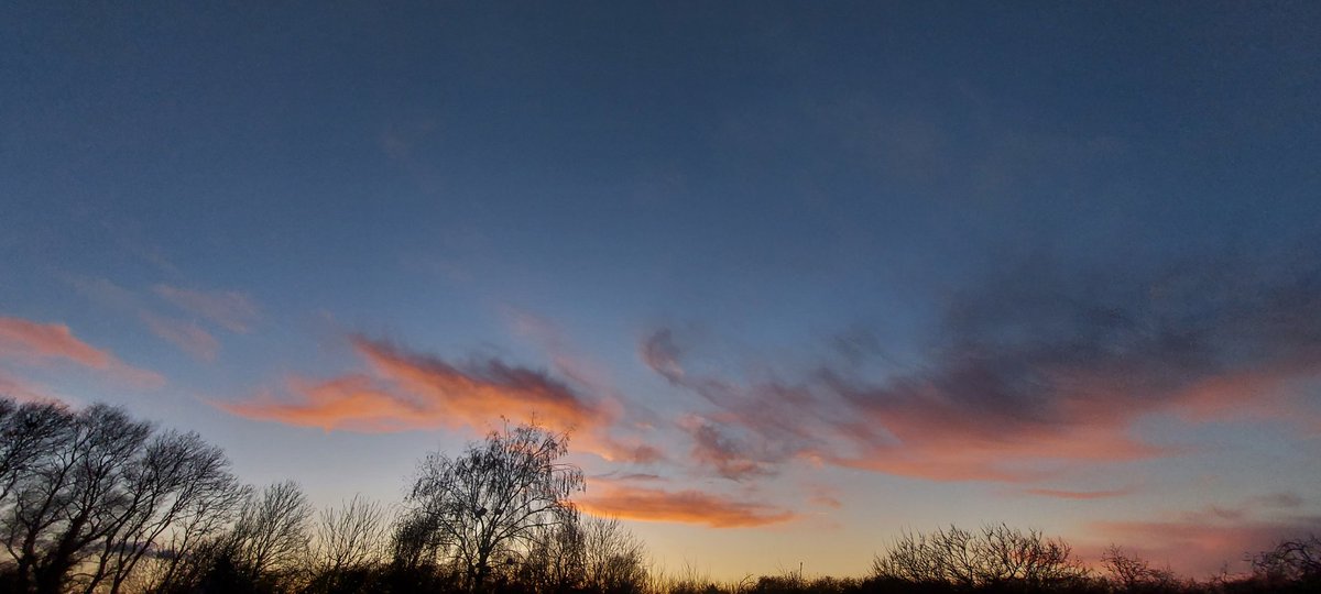 Candy-floss pink sunset clouds not long before the large, golden, full #moon rose over the horizon to the southeast. Still wet underfoot after yesterday's rain, sloshing through surface ponding. A barn owl hissing from a fence post as darkness takes hold on this #MaundyThursday