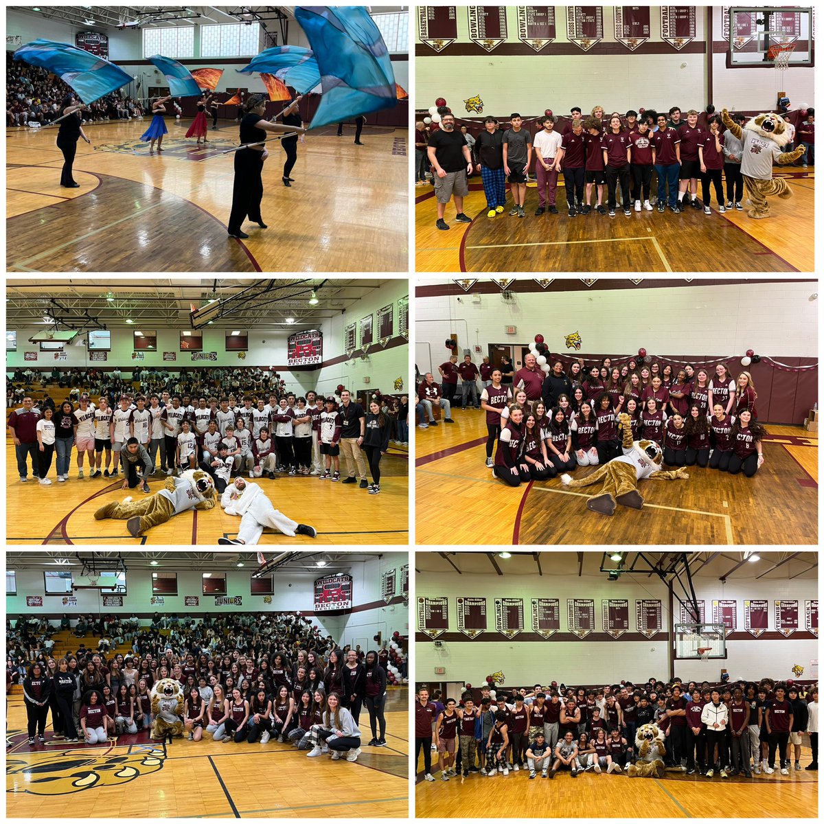 Wildcats tweet media