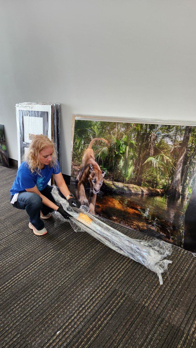 Florida Arts & Culture tweet media