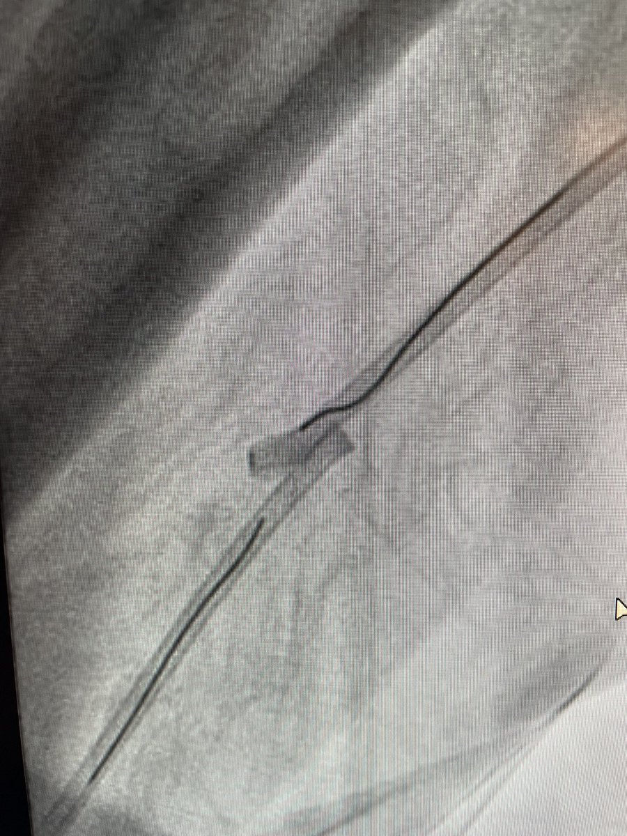 Robert Riley tweet media