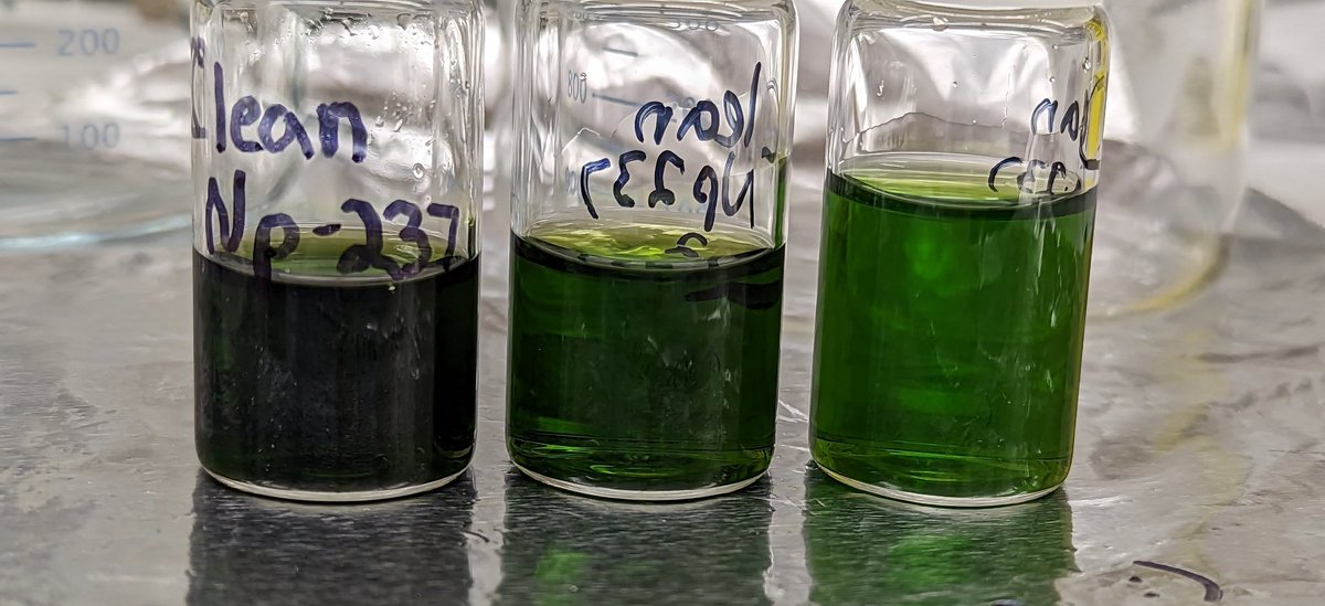 Brian Rotermund tweet media