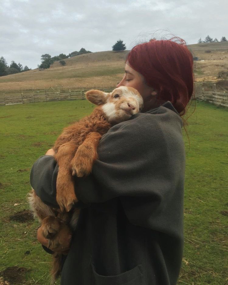os veo mañana que estoy desconectando un poquito y llevo todo el día por el campo, estoy tal que así