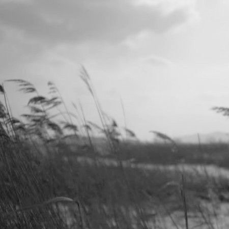 momrrybeijos's tweet image. honey • l.s abo

William é um dos mais procurados assassinos de todo o mundo, ninguém sabe seu nome real, seu rosto ou até mesmo sua classe mas todos o temem igualmente. Harry é um ômega desesperado atrás de justiça e Louis é o único que pode o ajudar no momento.