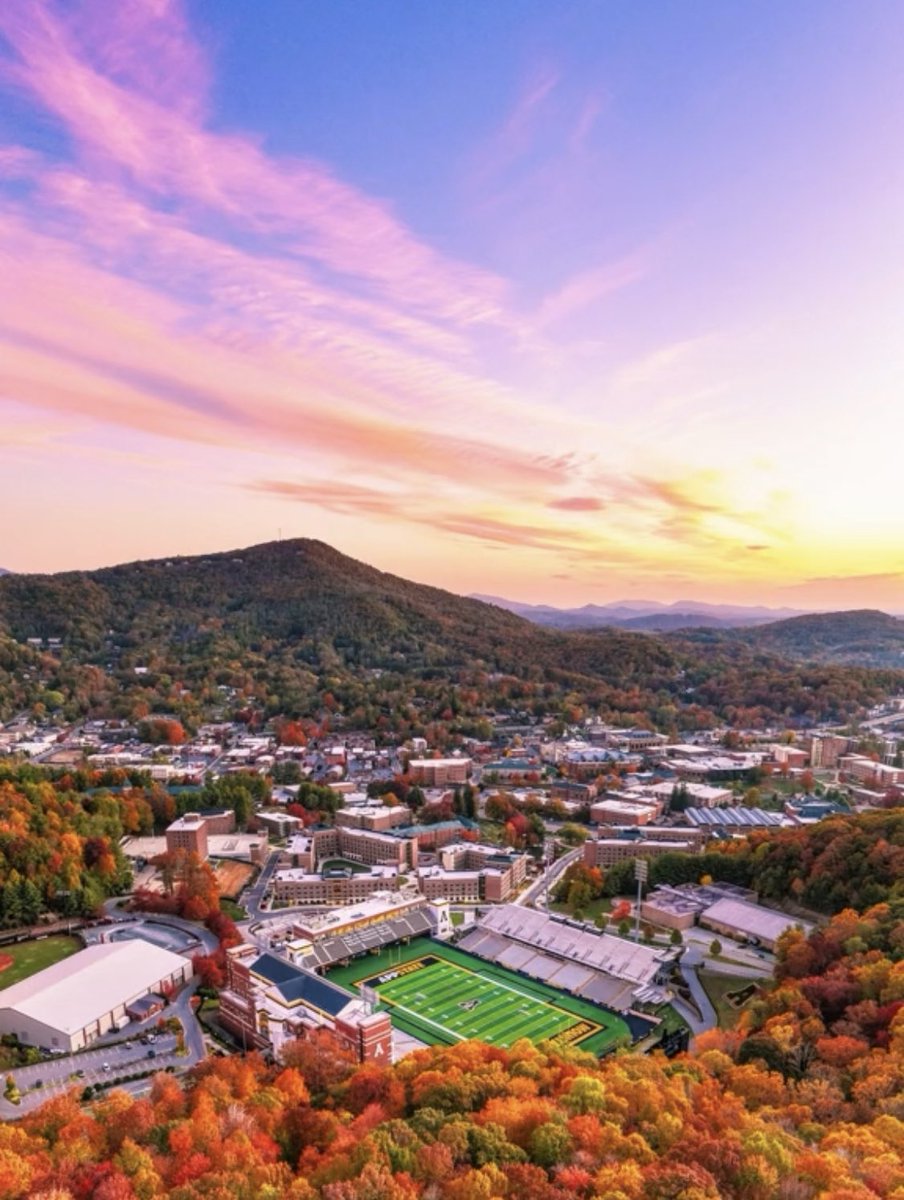 Marin Parsley tweet media