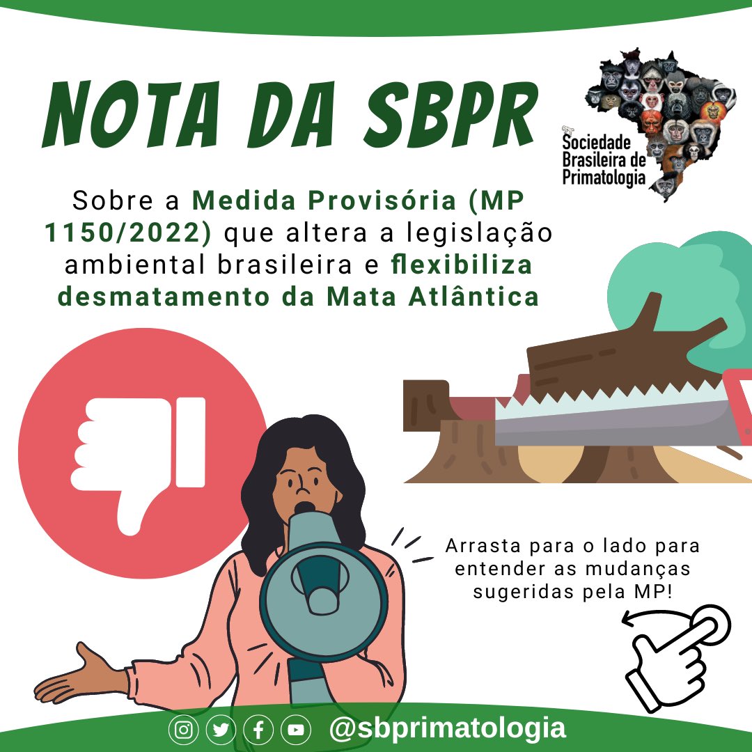 Nota da Sociedade Brasileira de Primatologia sobre a Medida Provisória (MP 1150/2022) que altera a legislação ambiental brasileira e flexibiliza desmatamento da Mata Atlântica.
Essa MP traz diversos retrocessos e a @sbrpimatologia é contra sua implementação. Segue o fio!