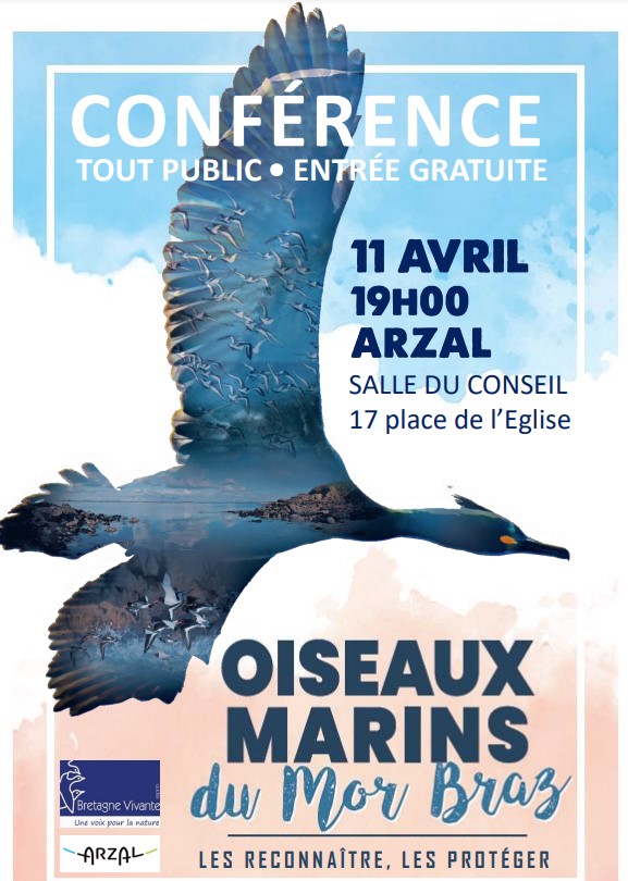 EolienMerSNA's tweet photo. Le week-end de #Pâques ou pendant les vacances scolaires, on prend l'air 🌤️
L'association @BretagneVivante et la mairie d'#Arzal nous invitent à découvrir l'exposition photographique "Oiseaux marins du Mor Braz". 🦢
📅 Jusqu'au 17 avril - devant la mairie d'Arzal - Gratuit https://t.co/0K0UmsiEey