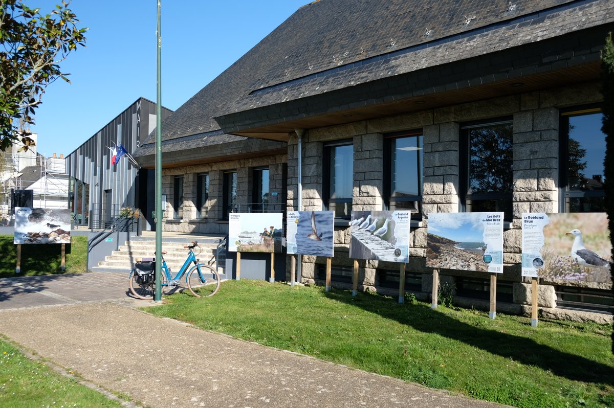 EolienMerSNA's tweet photo. Le week-end de #Pâques ou pendant les vacances scolaires, on prend l'air 🌤️
L'association @BretagneVivante et la mairie d'#Arzal nous invitent à découvrir l'exposition photographique "Oiseaux marins du Mor Braz". 🦢
📅 Jusqu'au 17 avril - devant la mairie d'Arzal - Gratuit https://t.co/0K0UmsiEey