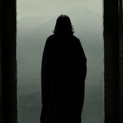 Para muchos un héroe, para otros un villano... Severus Snape, el mejor personaje de la saga y no acepto discusión alguna.