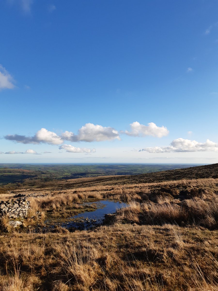 LaraKT_M's tweet photo. Beautiful evening for a packed up dinner and a beer with a view looking out from @dartmoornpa to the sea! #lovewherewelive #southwestisbest https://t.co/CijKF7Tcx7