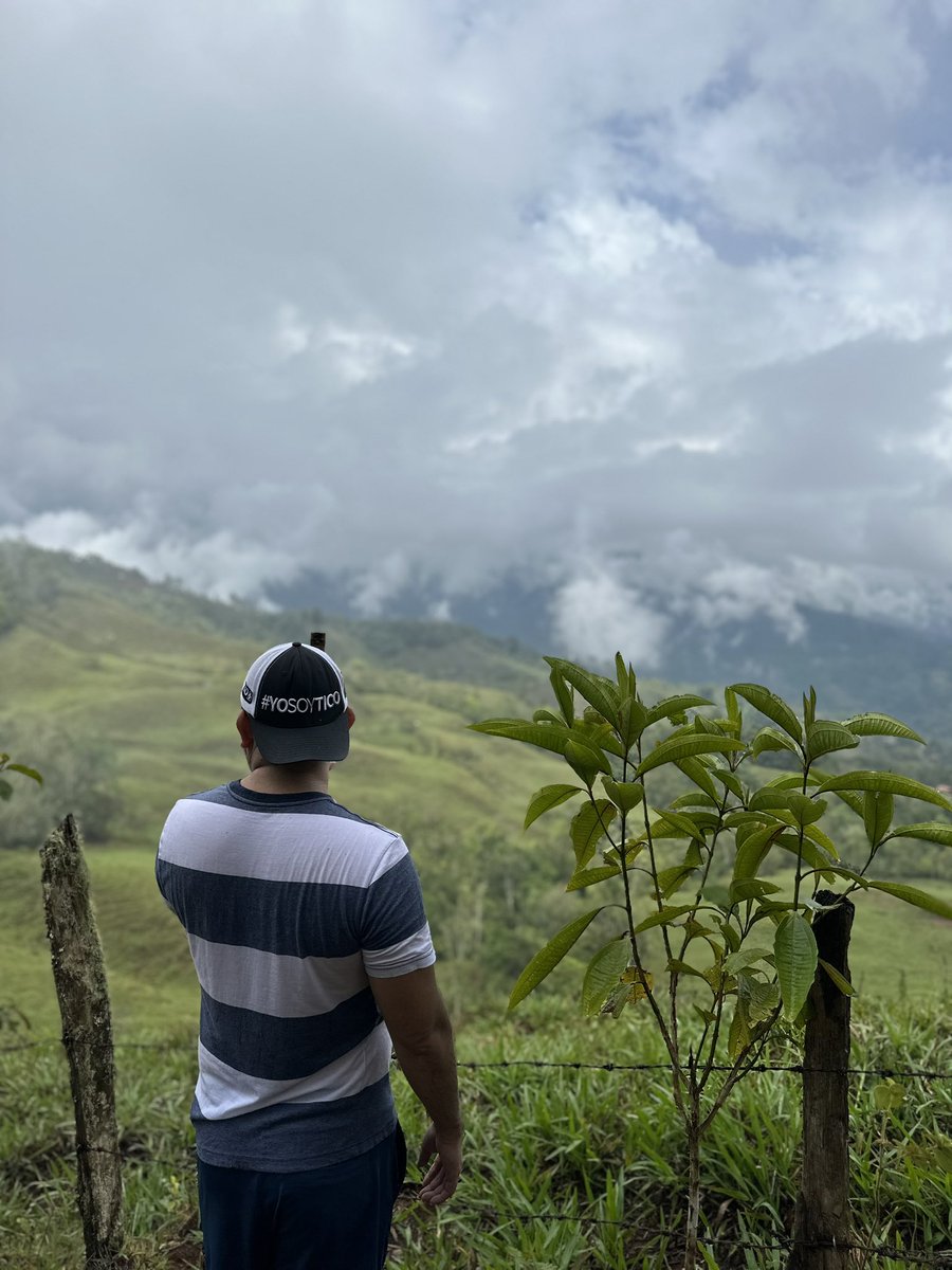 samglezc's tweet photo. 📍🇨🇷Centro Biológico Las Quebradas  a tan solo 15 minutos de la ciudad de San Isidrio de El General. 
.
.
#montaña #fudebiol #fudebiolpz #centrobiologicolasquebradas #lasquebradas #sanisidro #perezzeledon #pz #photo #photooftheday #naturephotography #instaphoto https://t.co/JCYeT7iFLi