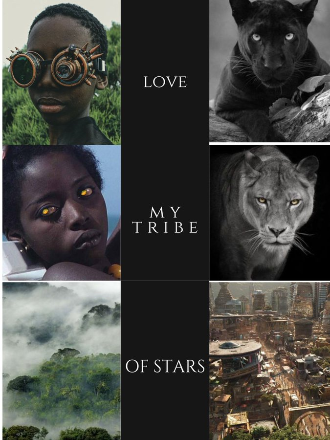 DRenjenko's tweet photo. 18yo tech-wiz Ayala loves:
🌏Her all-Black world
🐆Her Leopard sister
👧🏿Her city girl crush Nanya of the Lion tribe
But Nanya's tribal elder is against their union
The answer:
🔪Pass her tribe’s brutal coming-of-age trial
💍 Marry her anyway
#MoodPitch #LGBT #YA #R #SF #BVM https://t.co/VppoKpX1FU