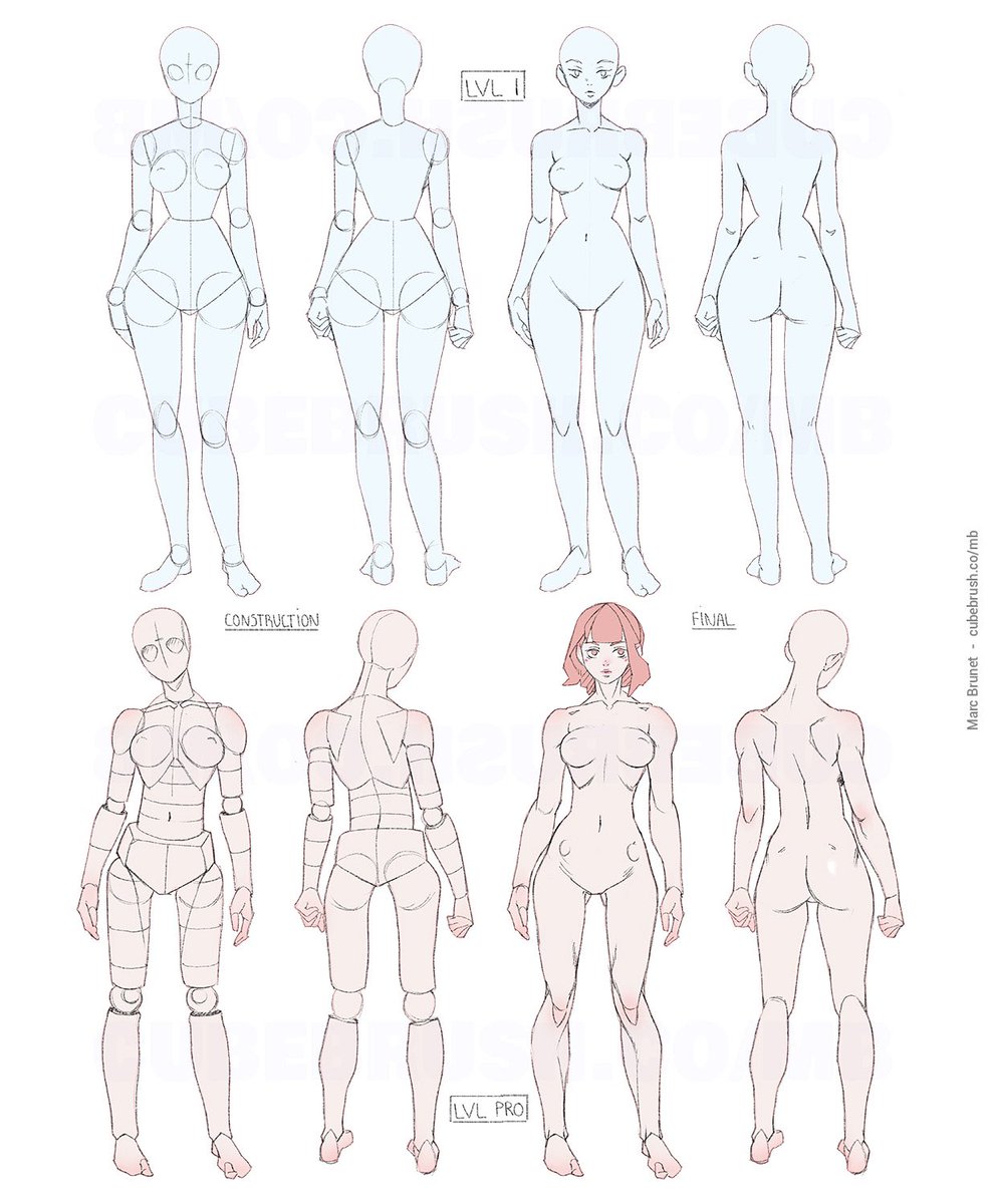 2 types of mannequins to construct characters 😳 First one works best when no foreshortening is involved, much easier - full class youtu.be/9H-OkO_Go3E #drawinganatomy #learntodrawin1year