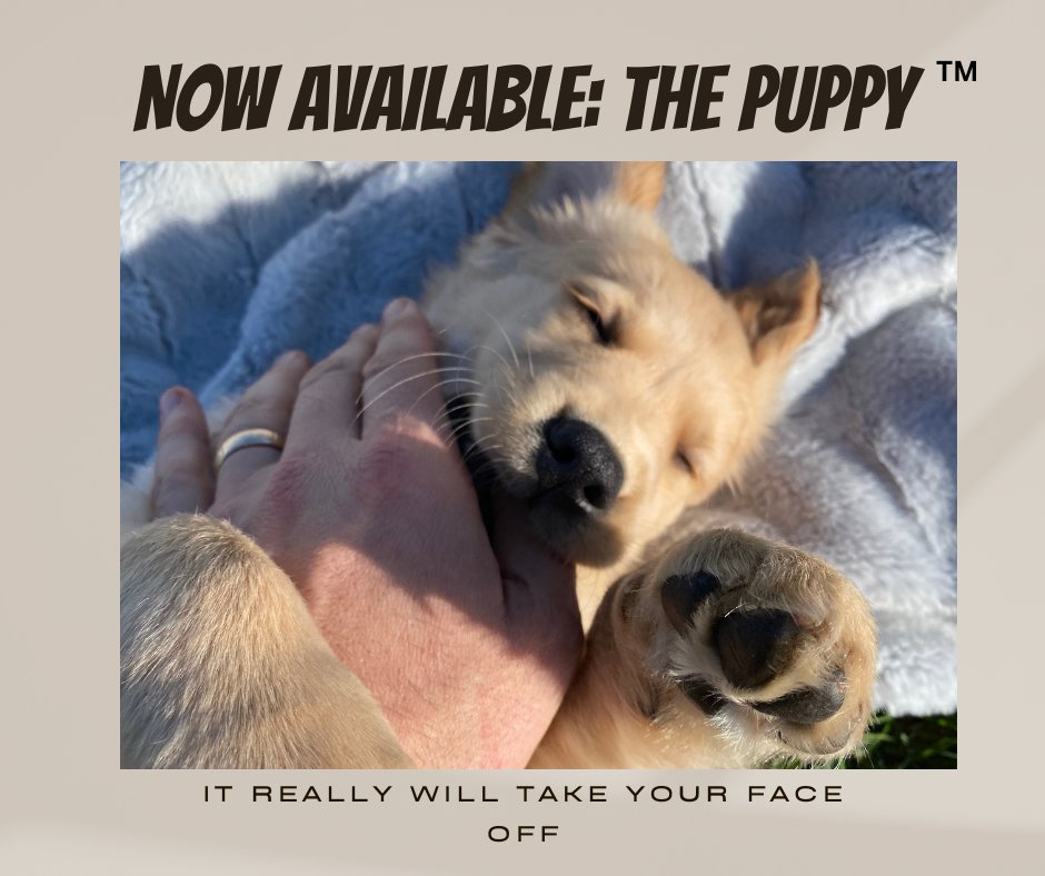 bunsenbernerbmd's tweet image. Introducing the latest must have item for any household: The Puppy™

This product comes with many exciting features that every family can’t live without.

Dozens of upgrades and augmentations come online over the time you spend with it - sort of like a demonic Furby.

Find out…