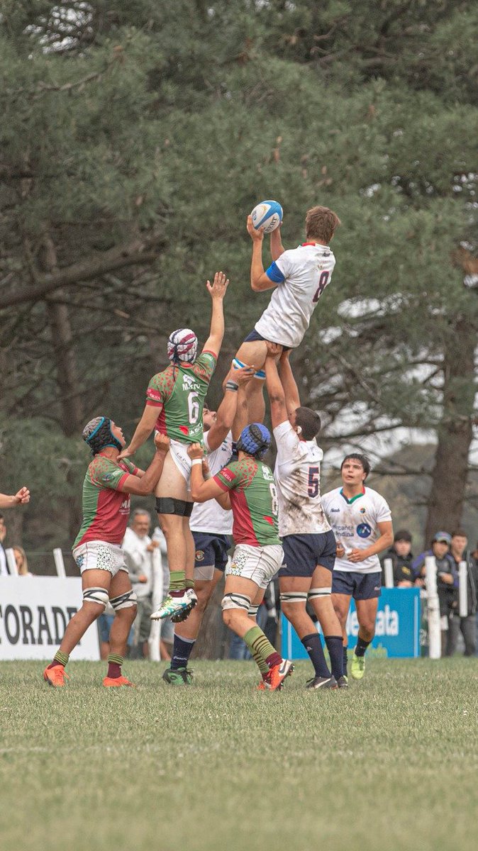 JUGADORES CONVOCADOS AL CIAR TANDIL ✍️

Los jugadores oriundos de Tandil comenzaron sus entrenamientos en la sede del Centro Integral de Alto Rendimiento ubicado en Los Cardos 👀

Conocé a cada integrante en este link 🤩 

bit.ly/3KbBBng 🍀
